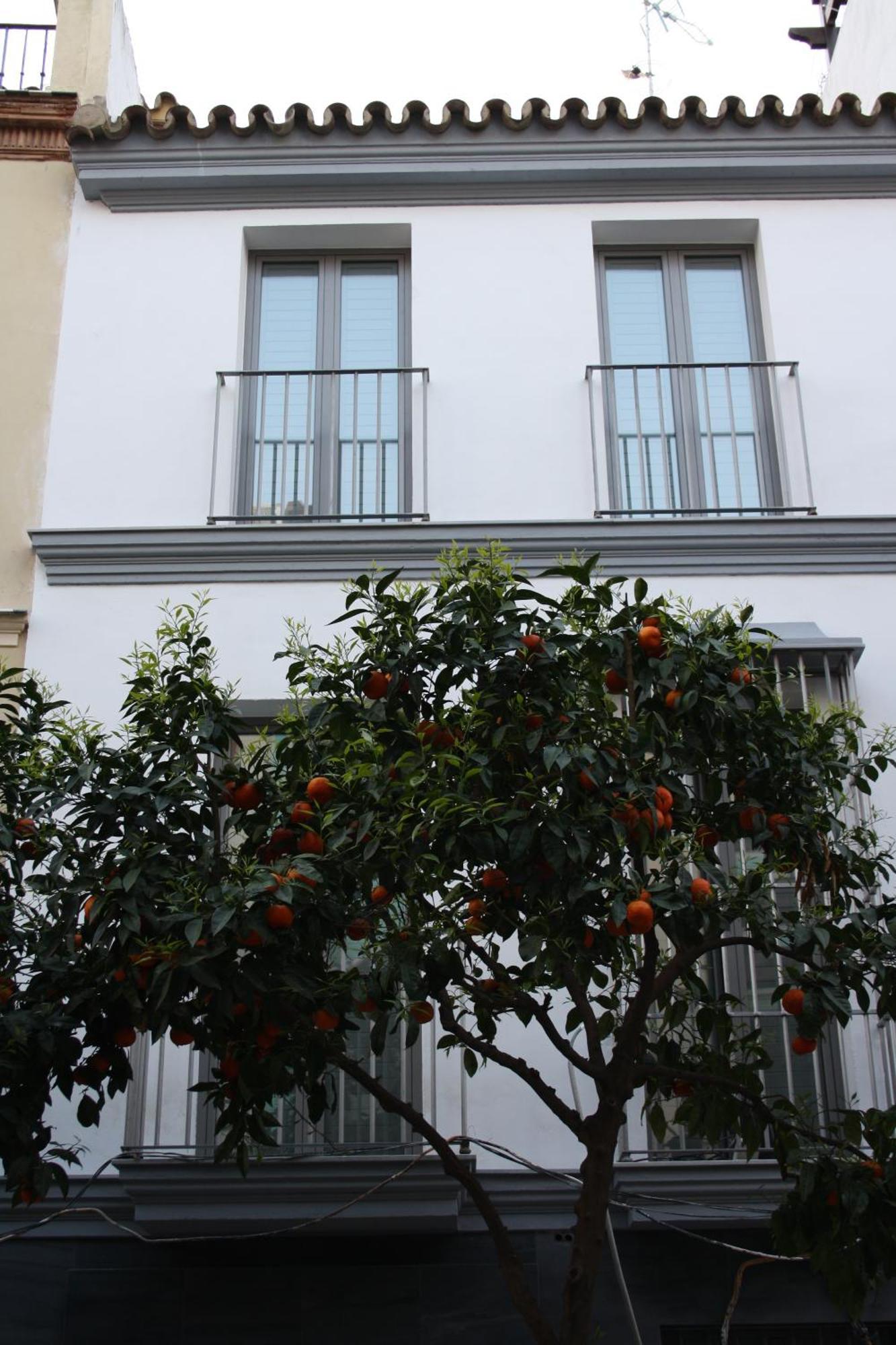 Ritual Sevilla Suites - Malaver 23 (Adults Only) ภายนอก รูปภาพ